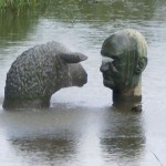 man sproeit schaap