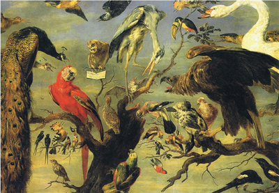 Vogelconcert Frans Snijders